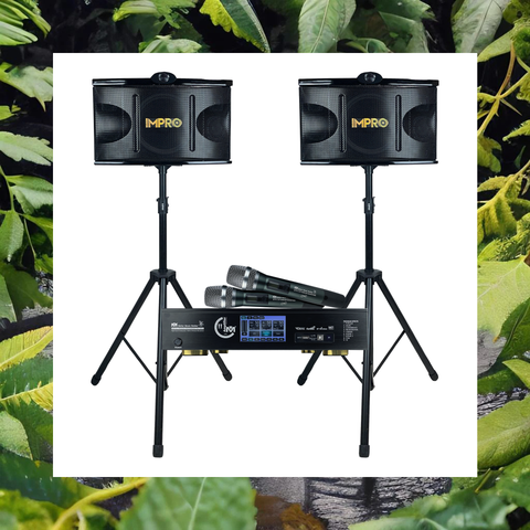 Singer's Paradise Plus: Complete Karaoke System with 1400W Mixing Amplifier, Microphones, 3-Way Speakers, and Subwoofer